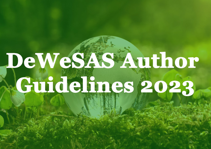 DeWeSAS Author guidelines 2023